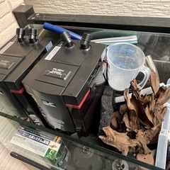 1200cm アクアリウム 大型水槽フルセット 熱帯魚の画像