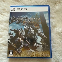 超美品 【PS5】 モンスターハンターワイルズの画像