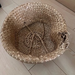 FLÅDIS フローディス バスケット, シーグラス（水草）, 25 cm  IKEAの画像