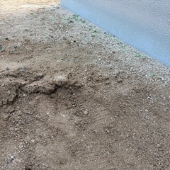 まさ土（庭土）