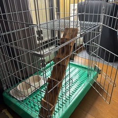 猫用ハウス の画像