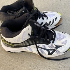アシックス ランパード 24 シューズの画像