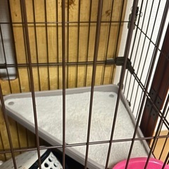 キャットゲージ　ペットゲージ　猫の画像