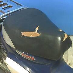 HONDA スーパーカブ50-3プロ 青 格安提供車 半額配送キャンペーン クランキング確認 期間限定 現状渡し諸経費￥0 横浜 P-Yardの画像