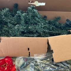 クリスマスツリーの画像