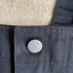 アクアガールxDickiesオーバーオール
の画像