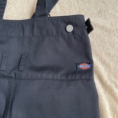 アクアガールxDickiesオーバーオール
の画像