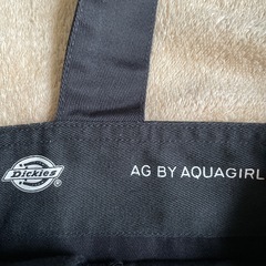 アクアガールxDickiesオーバーオール
の画像