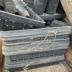 育苗ポット、カゴなどの画像