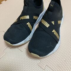 プーマ ワイヤードラン？ 23.5cm　女性　ウィメンズ の画像