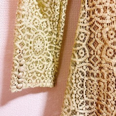 CELFORD フレアレースワンピース 38 美シルエット の画像