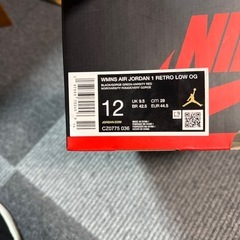 エアジョーダン 29センチの画像