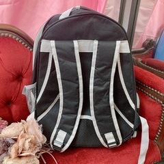 猫、小型犬用リュックの画像