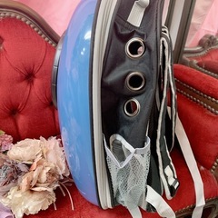 猫、小型犬用リュックの画像