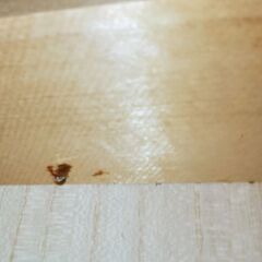 鎌倉彫小箪笥 5引き出しの画像