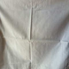 座布団5枚セット、カバーして使用　少し薄手別のカバー4枚と4枚の画像