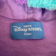 ディズニー　ポンチョ　モンスターズインク　サリーの画像