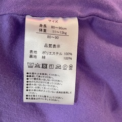 ディズニー　ポンチョ　モンスターズインク　サリーの画像