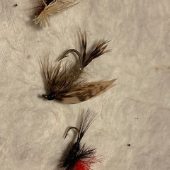 フライ各種の画像