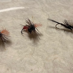 フライ各種の画像