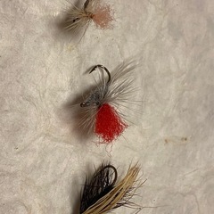 フライ各種の画像