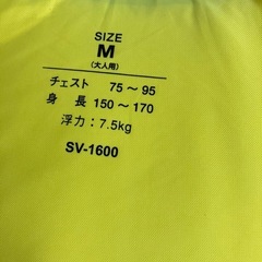 浮きベストの画像