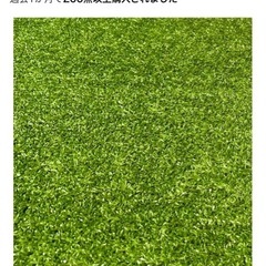 受け渡し決定人工芝の画像