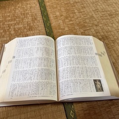 日本語大辞典の画像