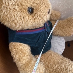 くまのぬいぐるみの画像