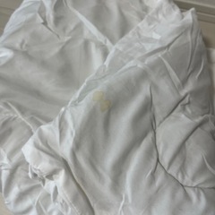 トゥルースリーパー　掛け布団(若干シミあり)の画像