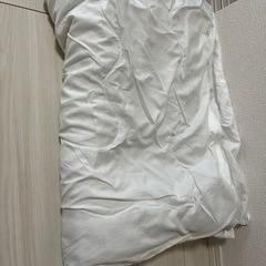トゥルースリーパー　掛け布団(若干シミあり)の画像