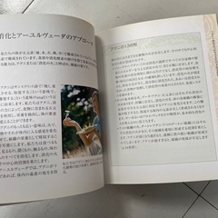 アーユルヴェーダバイブルの画像