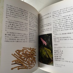 アーユルヴェーダバイブルの画像