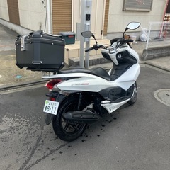 ホンダ　pcx150 kf12 自賠責残りたっぷりの画像