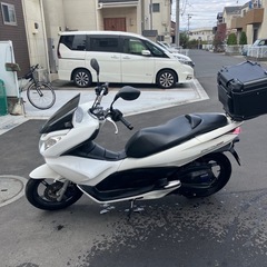 ホンダ　pcx150 kf12 自賠責残りたっぷりの画像