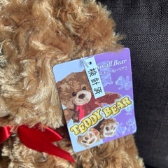 テディベアセットの画像