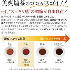 【新品・未使用】【公式】美爽煌茶 30包1ヵ月分 カッシア・アラタ 健康茶 ティーバッグ アップルティー 自然素材 着色料・保存料フリー 安全検査済 茶師監修 スタイル維持サポート キャンドルブッシュ ローズヒップ 毎朝スッキリ ドッサリ 美容 リフレッシュ ローカフェイン 腸活 宅配便秘密発送 贈り物 ギフト ロングセラー 飲みやすい びそうこうちゃ フレージュの画像