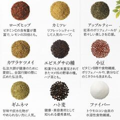 【新品・未使用】【公式】美爽煌茶 30包1ヵ月分 カッシア・アラタ 健康茶 ティーバッグ アップルティー 自然素材 着色料・保存料フリー 安全検査済 茶師監修 スタイル維持サポート キャンドルブッシュ ローズヒップ 毎朝スッキリ ドッサリ 美容 リフレッシュ ローカフェイン 腸活 宅配便秘密発送 贈り物 ギフト ロングセラー 飲みやすい びそうこうちゃ フレージュの画像