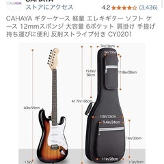 CAHAYA  エレキギター　ソフトケースの画像