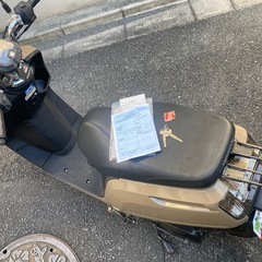 【動画】ホンダ　ダンク AF74 【自賠責10ヶ月付❗️NEWペイント　サンドベージュ】62キロ出ます❗️キャリア 付き❗️の画像