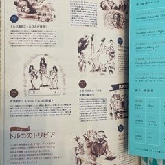 TRANSIT 第15号 美しきトルコの画像