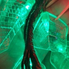 クリスマス　イルミネーション　ポインセチア　ガーデンアーチの画像