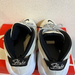 【美品】NIKE エアズームフライト95 25.5cmの画像