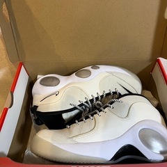 【美品】NIKE エアズームフライト95 25.5cmの画像