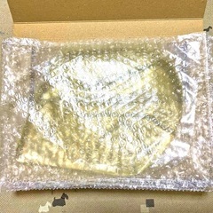 室内培養で安心　繁殖セット　生クロレラ原液付き　オオミジンコ　１ｇ以上　プラス増量　メダカ　金魚　熱帯魚　栄養食の画像