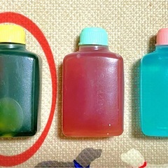 室内培養で安心　繁殖セット　生クロレラ原液付き　オオミジンコ　１ｇ以上　プラス増量　メダカ　金魚　熱帯魚　栄養食の画像