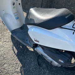 原付　 ホンダトゥデイ　　の画像