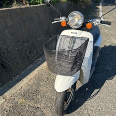 原付　 ホンダトゥデイ　　の画像