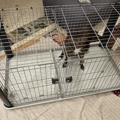 犬　ペットケージの画像