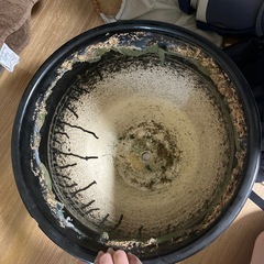 植木鉢の画像